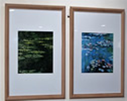 Framed artworks mounted on a wall in the institute